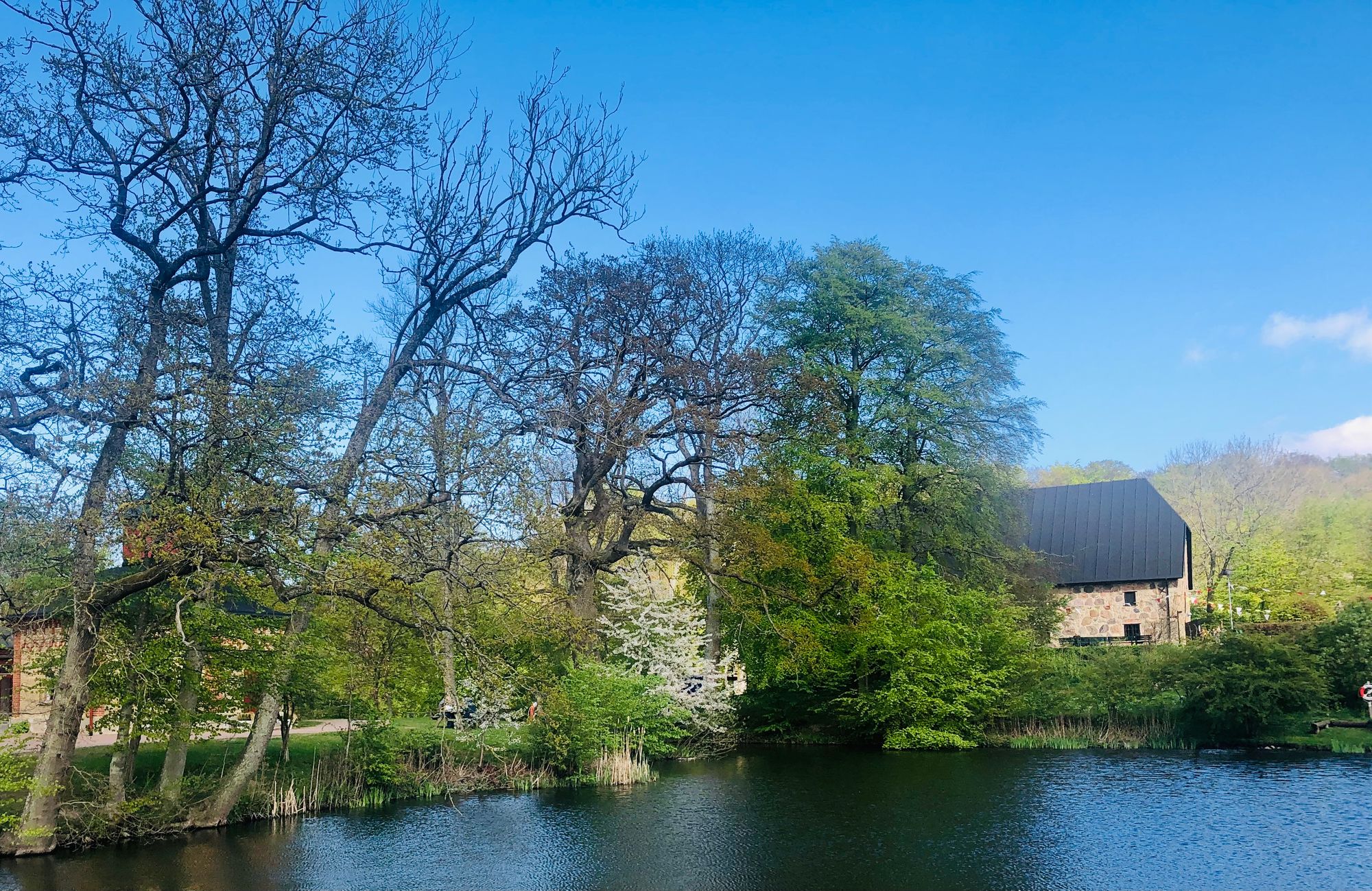 Scenic landscape with a small lake, trees and old buildings.