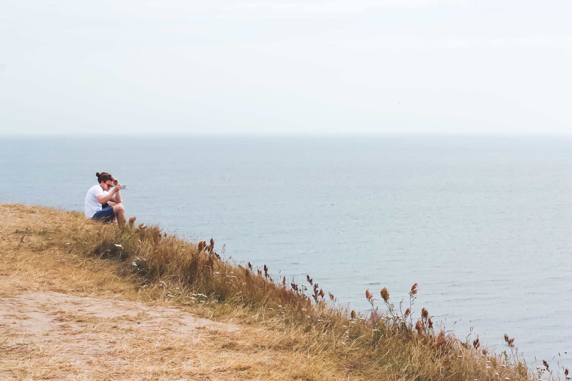 Picturesque view of the grassy hill over the ocean.