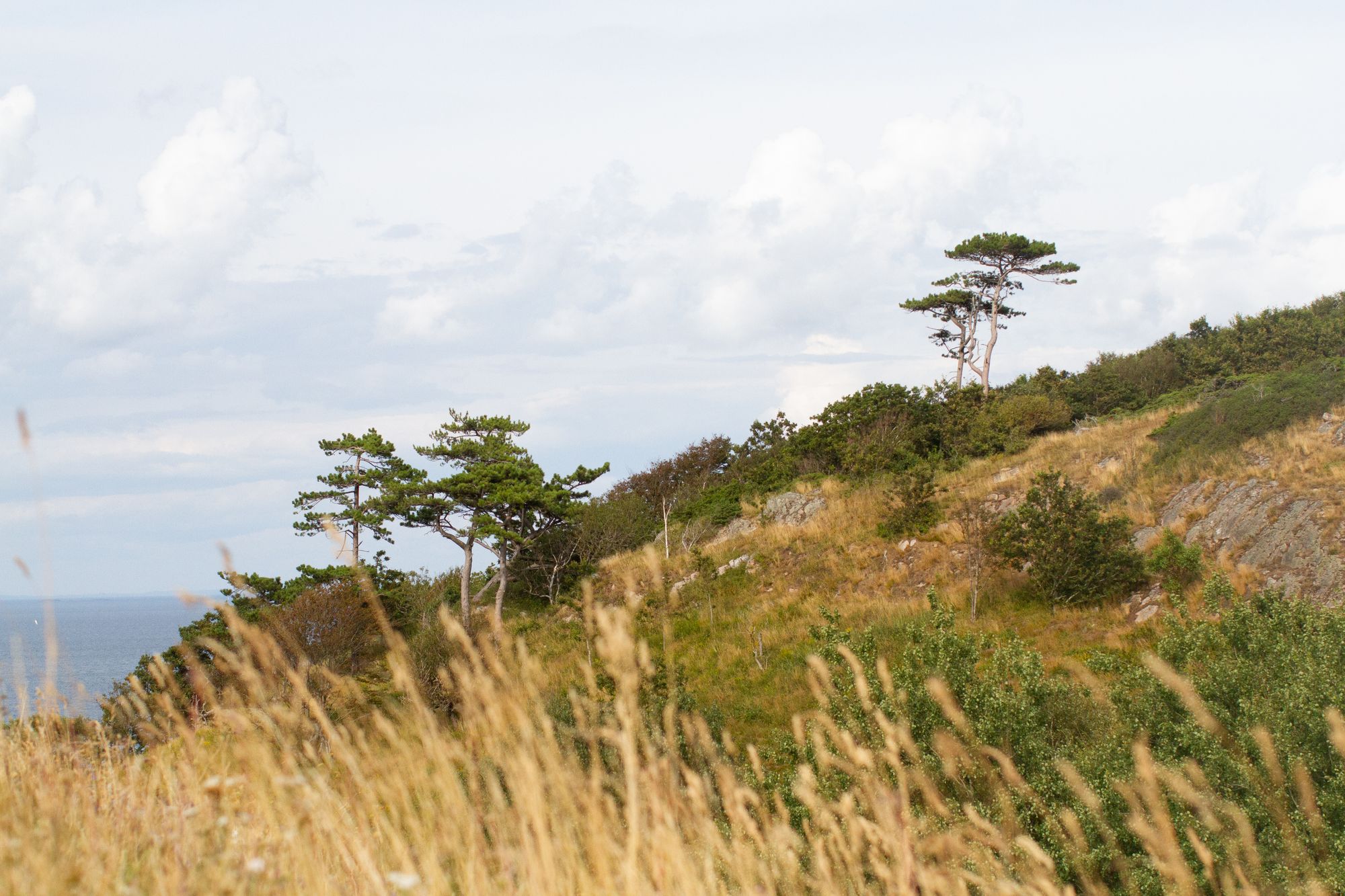 Scenery of the hill side and ocean at Kullaberg.