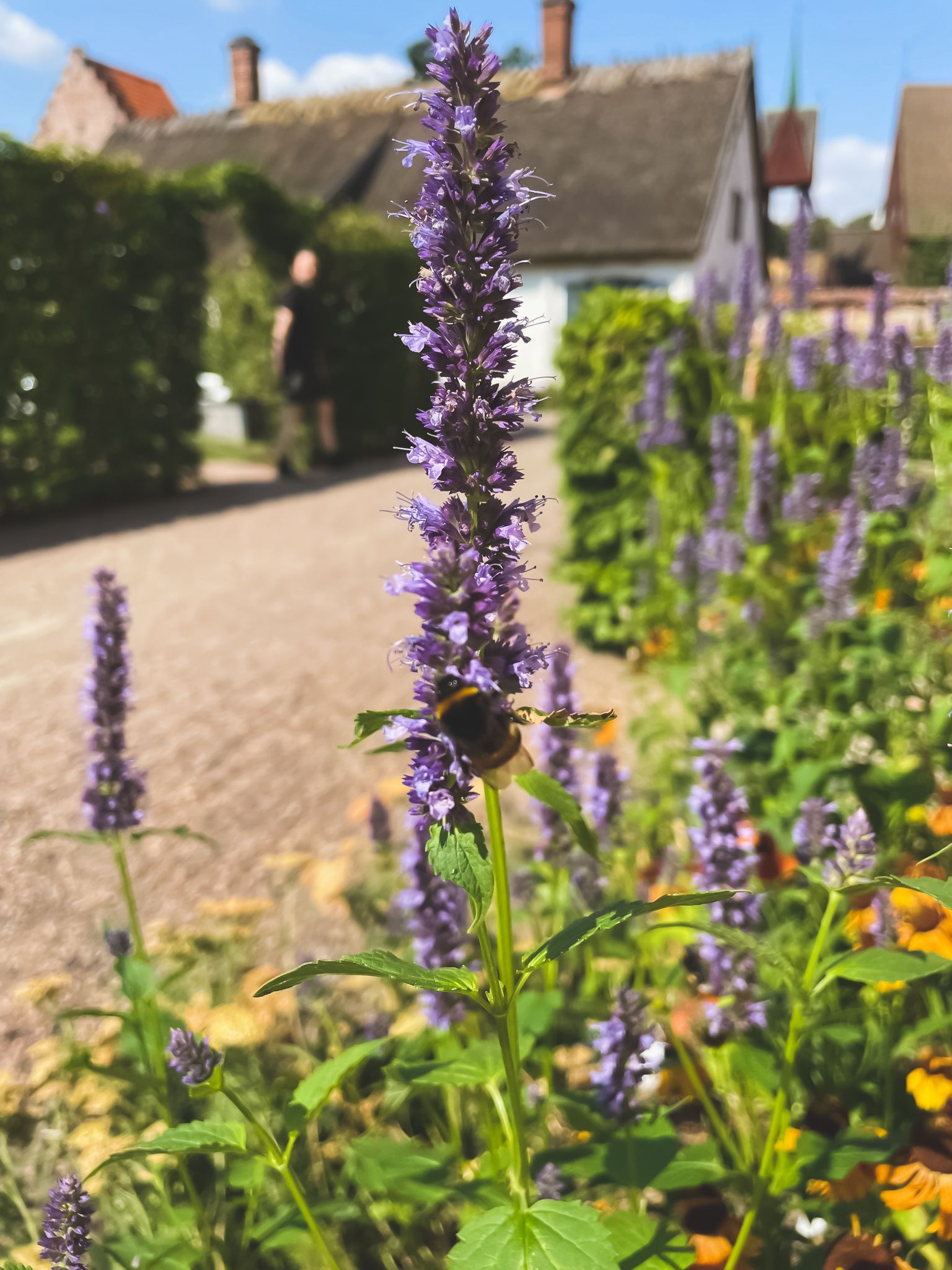 Kulturen i Lund