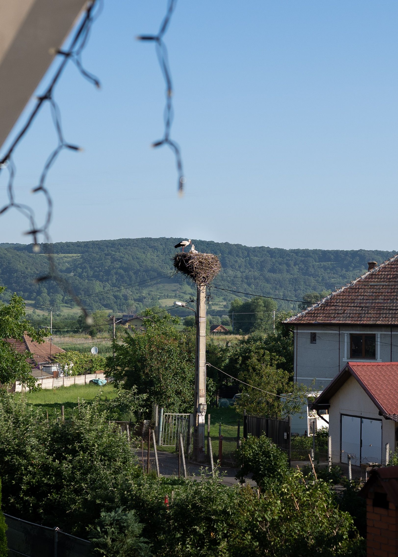 Avriq, Romania