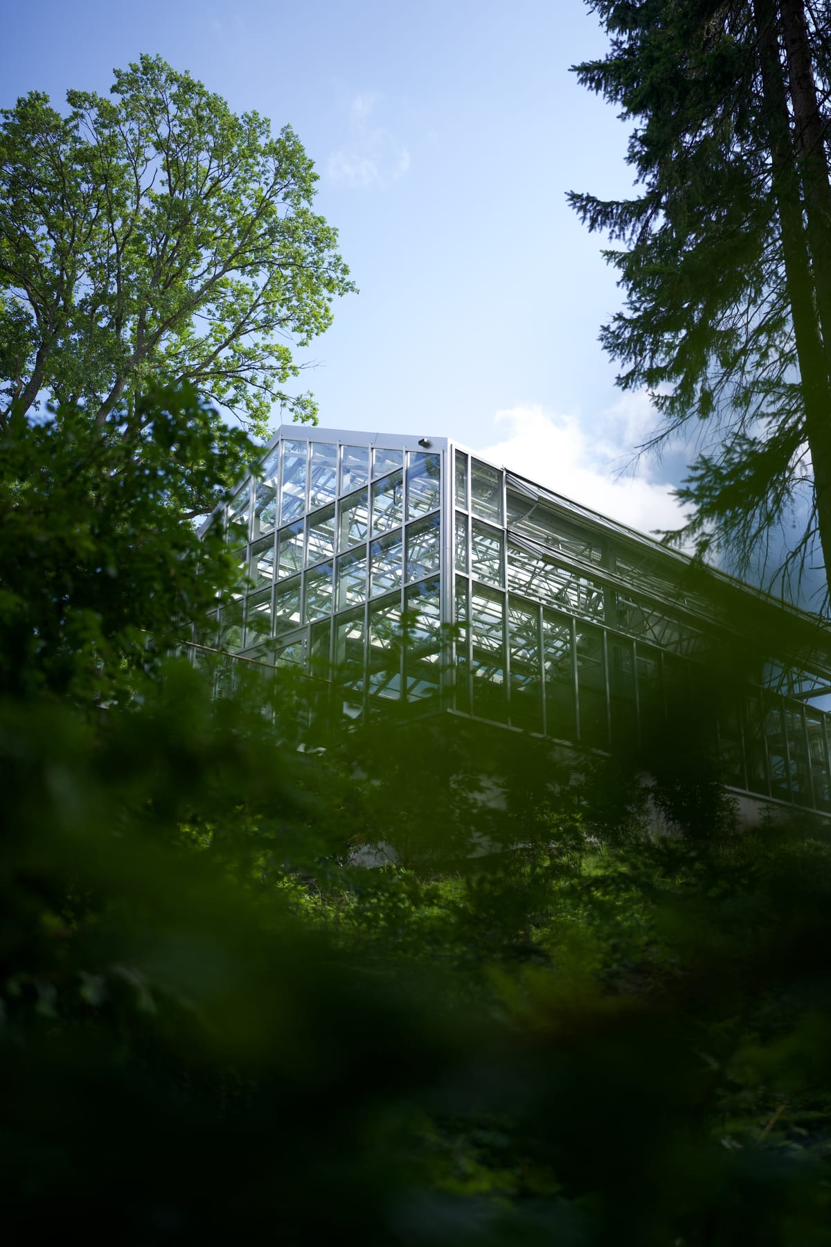 Gothenburg Botanical Garden